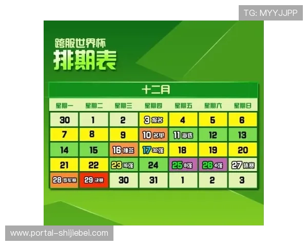 世界杯用球是几号球的标准尺寸和规格详解，了解不同比赛用球的编号区别