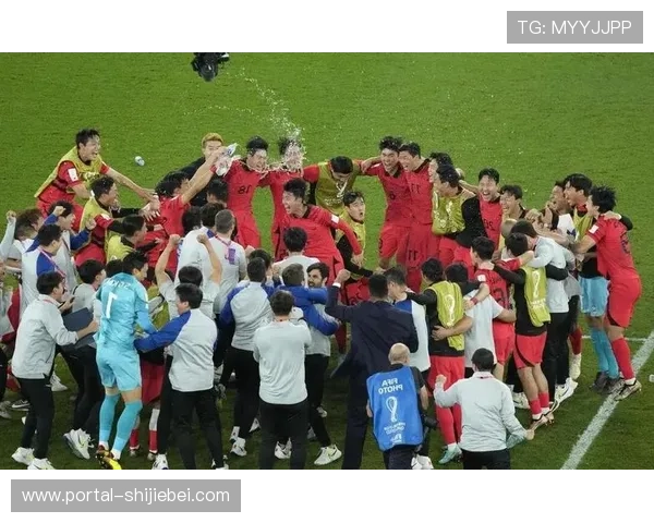 卡塔尔世界杯晋级球队的历史战绩与未来展望