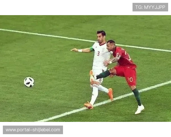 深入了解世界杯历史数据库：涵盖赛事数据、球队纪录与精彩瞬间