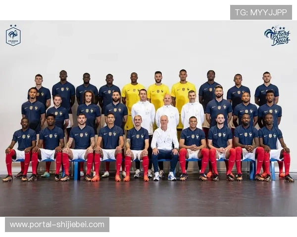 2023年法国队世界杯阵容完整名单及核心球员深度解析